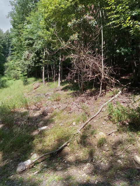 Photo #5: Tbd Chestnut Ridge Trail
