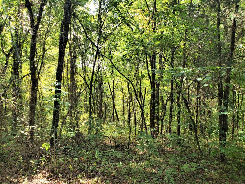Photo #9: Tbd Choptack Road
