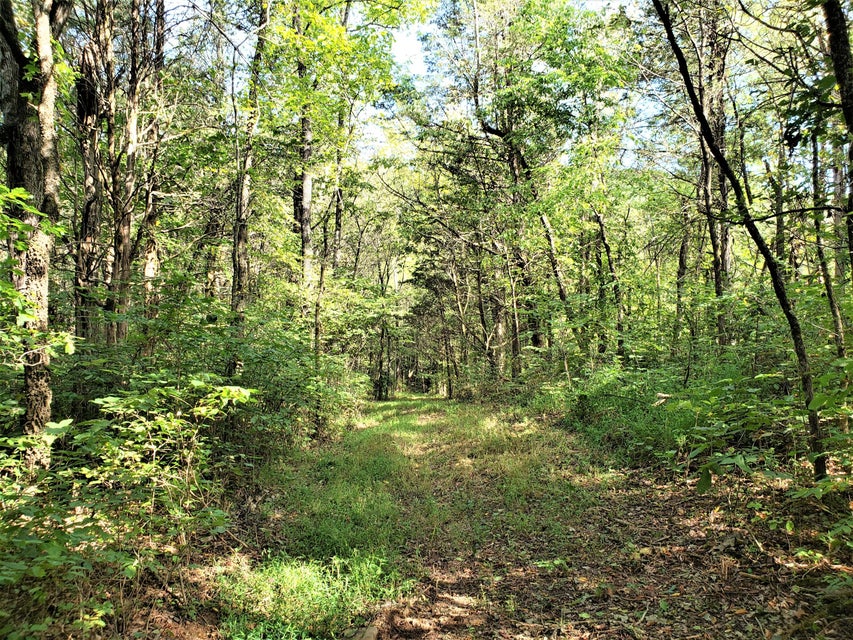 Photo #11: Tbd Choptack Road