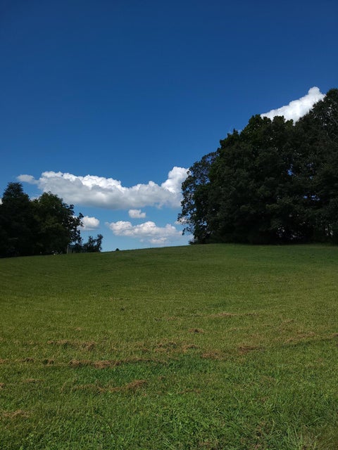 Photo #2: .74 Ac Afton Road
