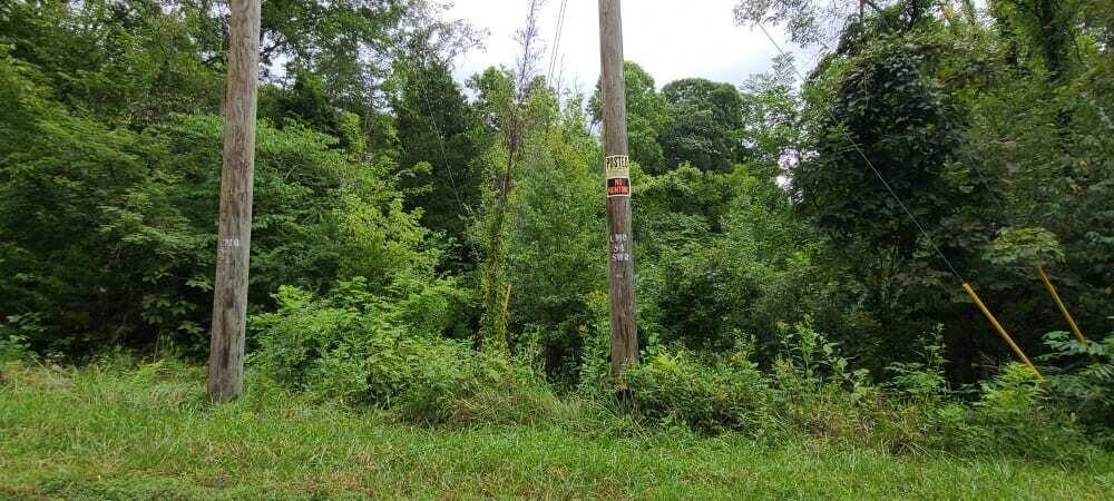 Photo #4: Tbd Sandy Valley Road