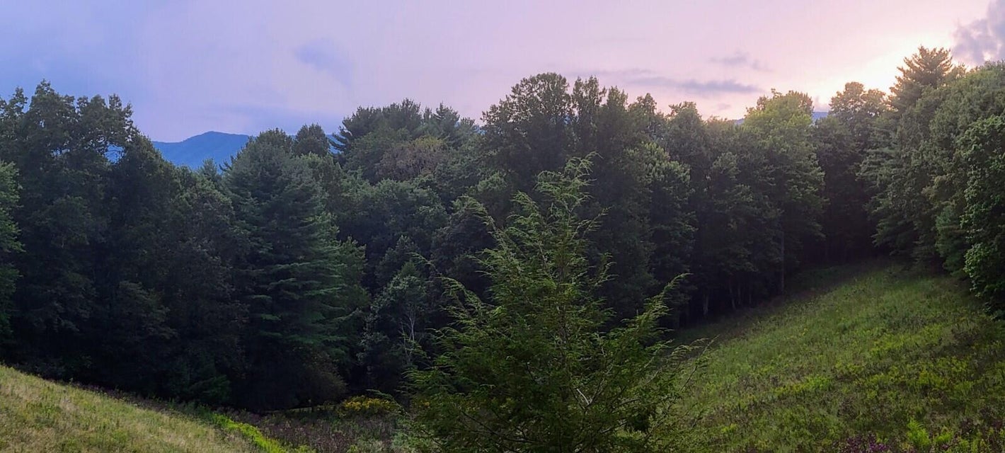 Photo #11: Tbd Red Brush Road