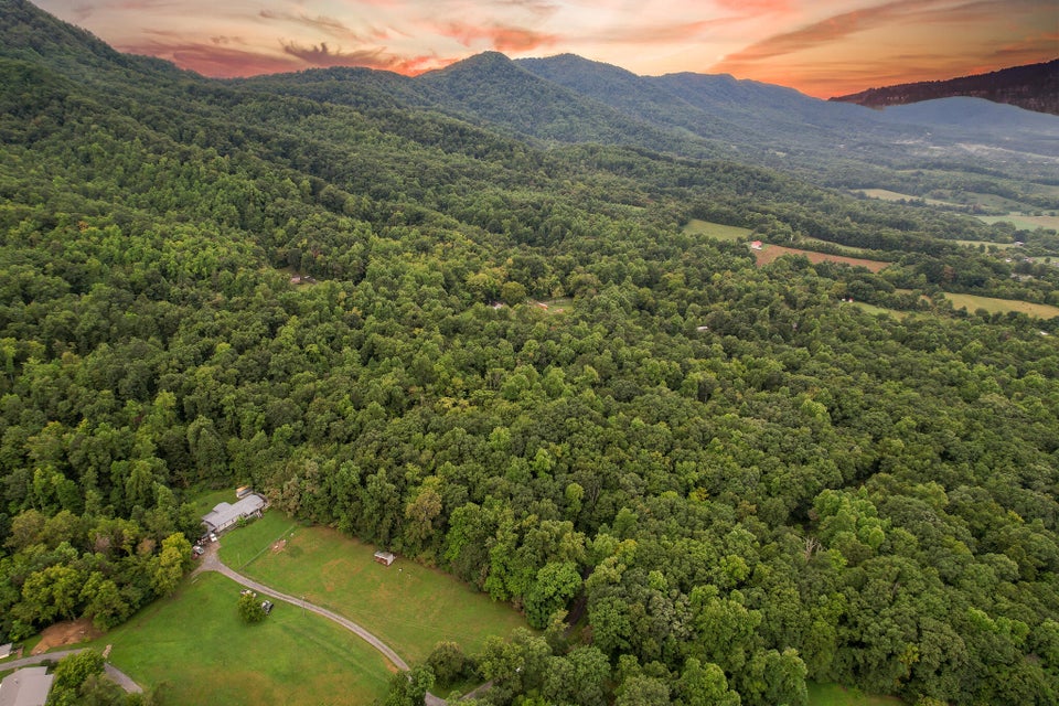 Photo #3: 3684 Collier Loop
