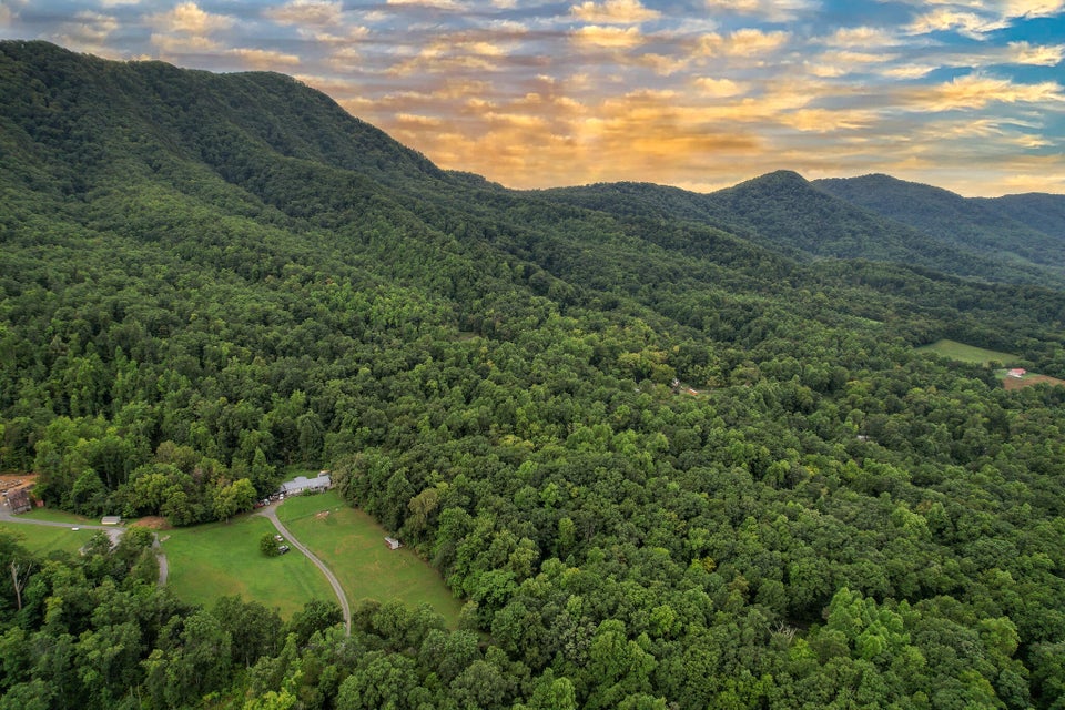 Photo #4: 3684 Collier Loop