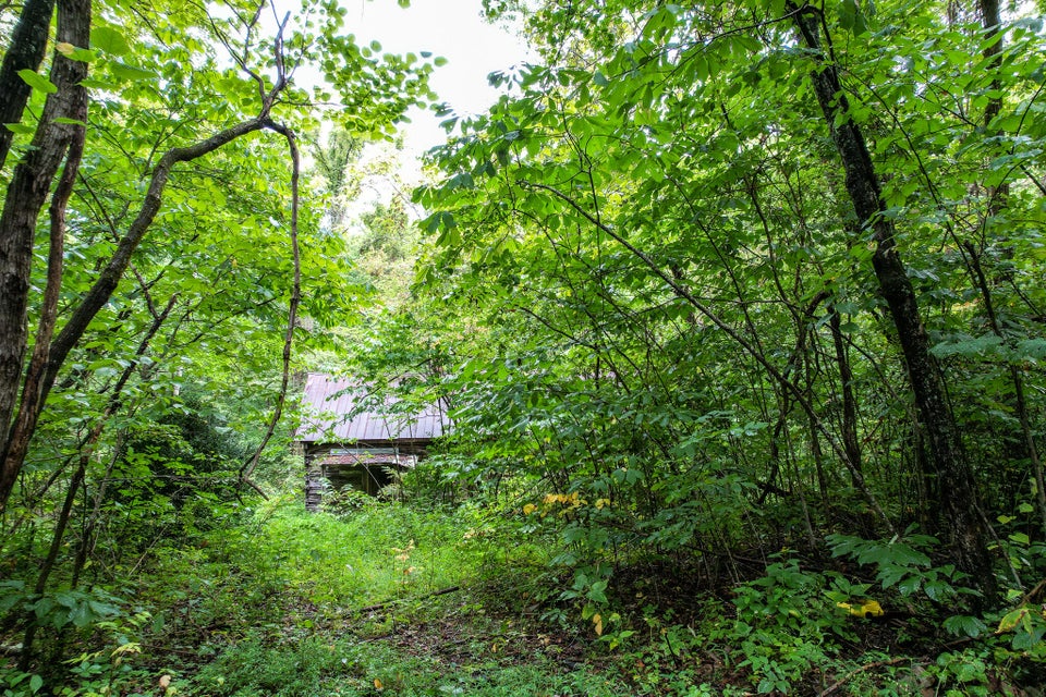 Photo #13: 3684 Collier Loop