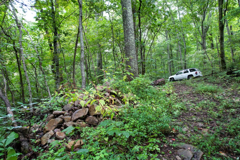 Photo #30: 3684 Collier Loop