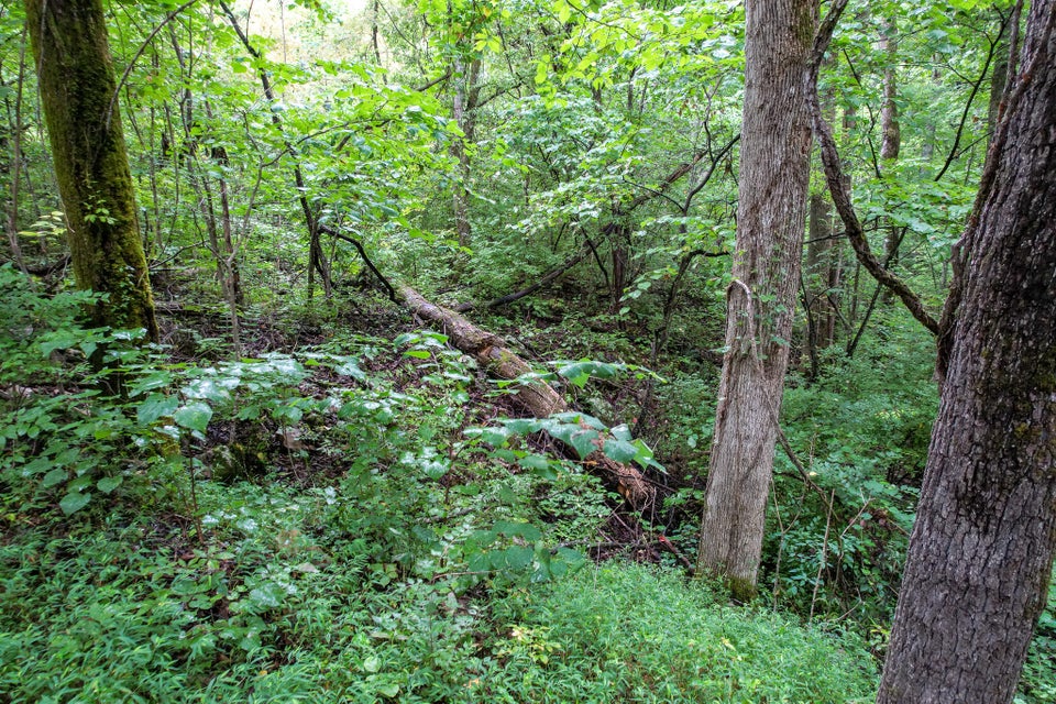 Photo #31: 3684 Collier Loop