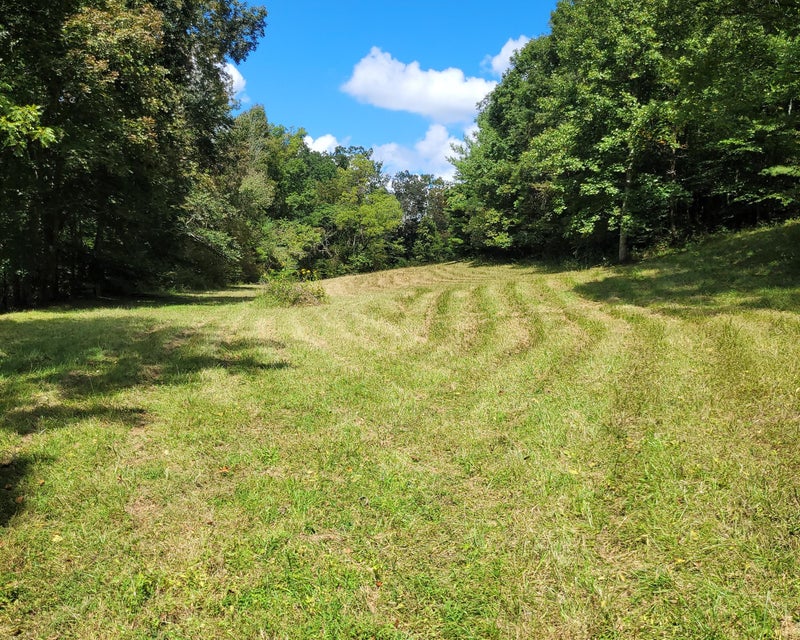Photo #13: Tbd Morrison Road