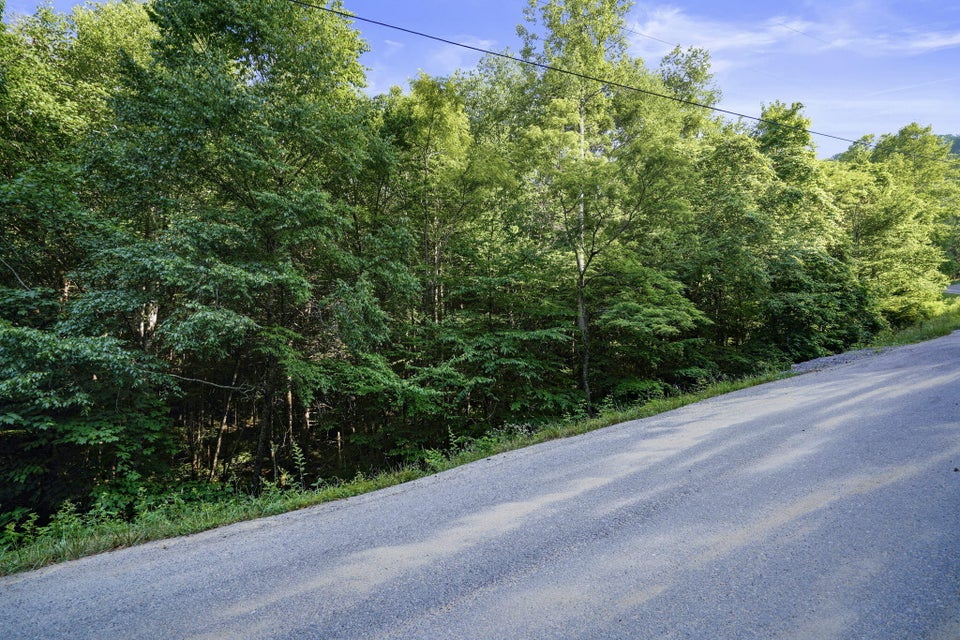 Photo #3: Lot 27-28 Laurel Highland Drive