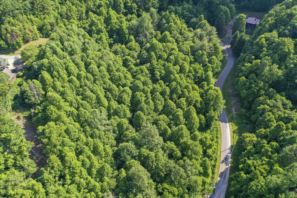 Photo #8: Lot 27-28 Laurel Highland Drive
