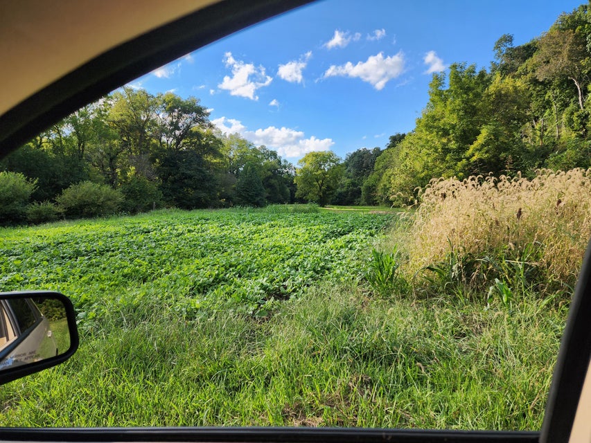 Photo #12: 0 Bewleys Chapel Road