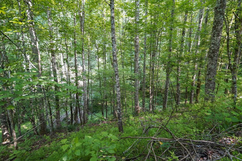 Photo #2: Lot 17 Victoria Circle