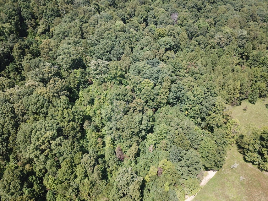 Photo #10: 0 Bethel Rd
