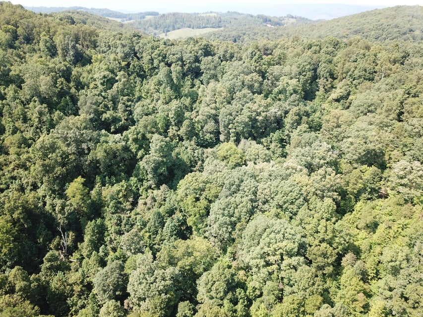 Photo #8: 0 Bethel Rd