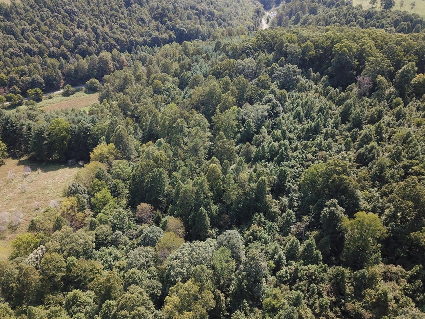 Photo #12: 0 Bethel Rd
