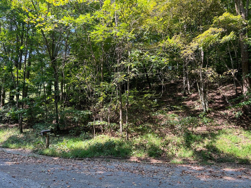 Photo #3: 0 Bethel Rd