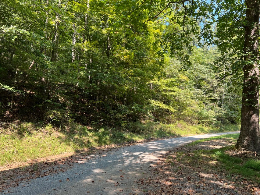Photo #5: 0 Bethel Rd