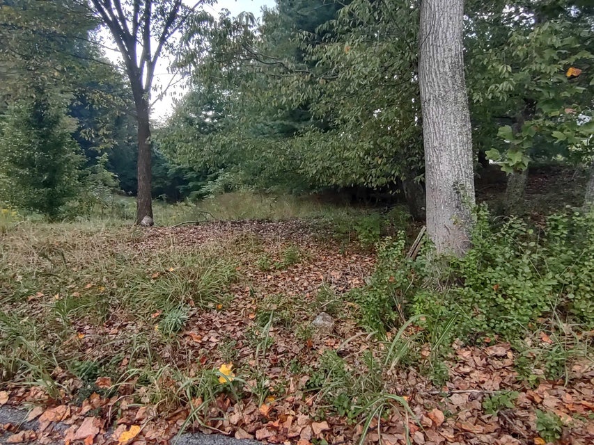 Photo #3: Tbd Thompson Street