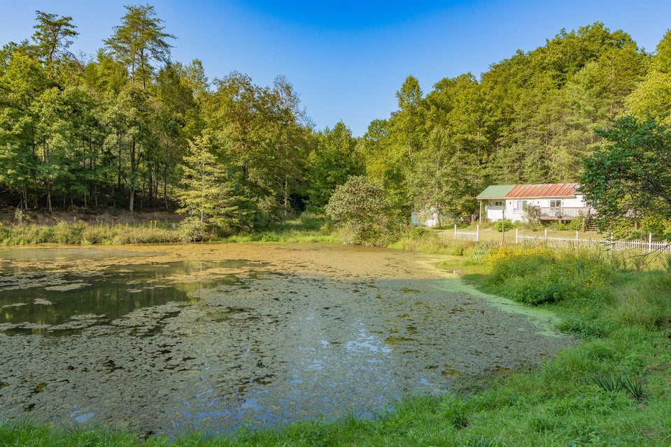 Photo #39: 124 Harr Road