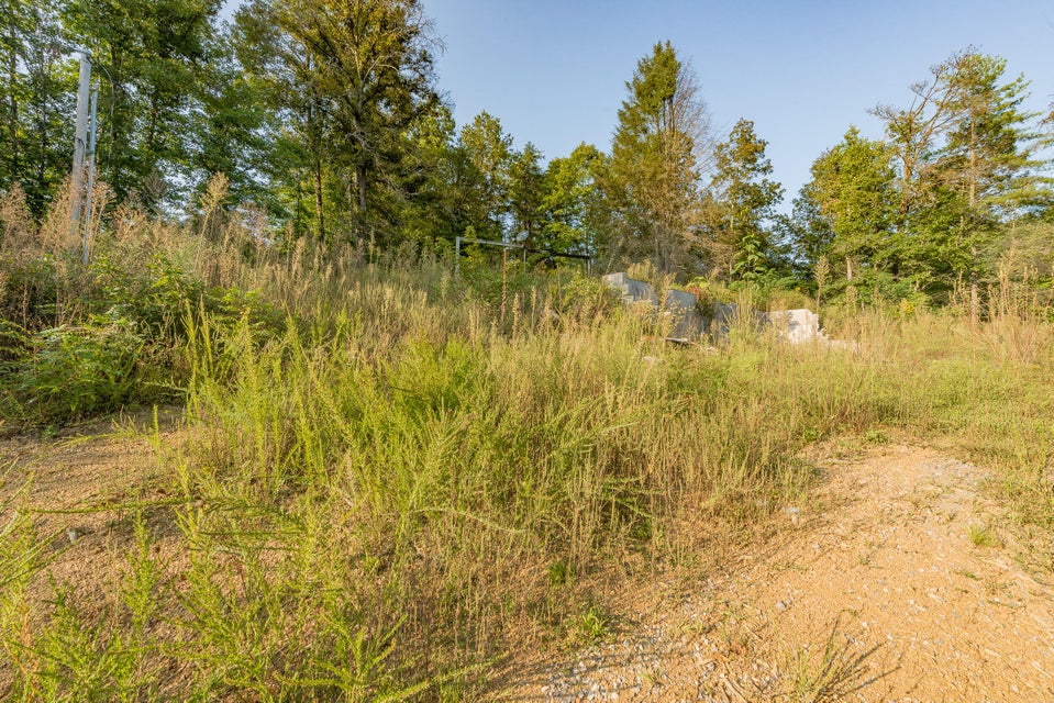 Photo #53: 124 Harr Road