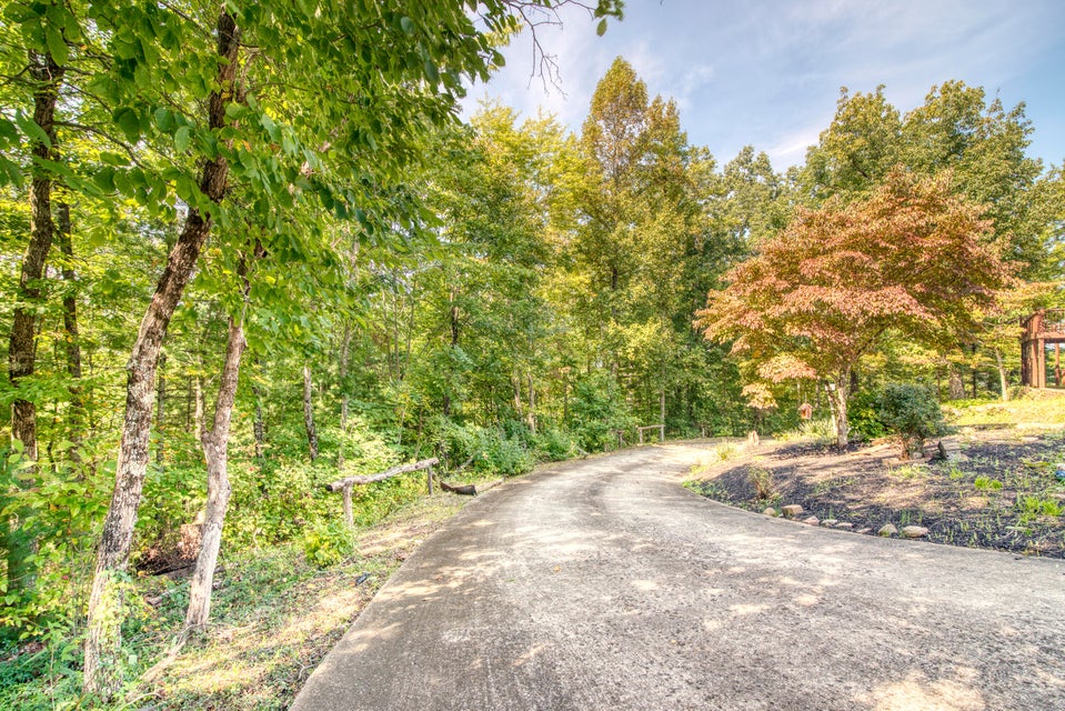 Photo #3: 6091 Highway 421