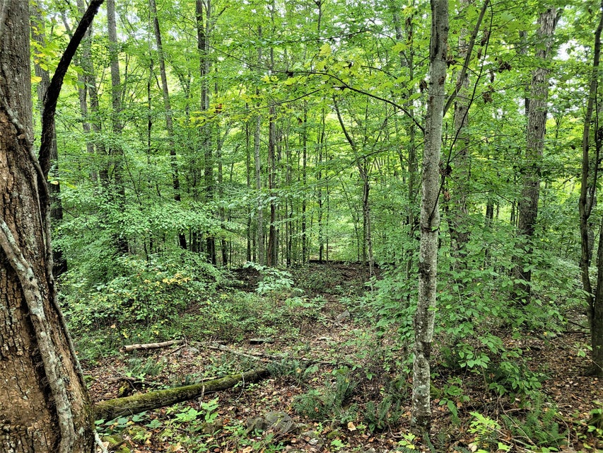 Photo #9: Tbd Seal Chapel Road