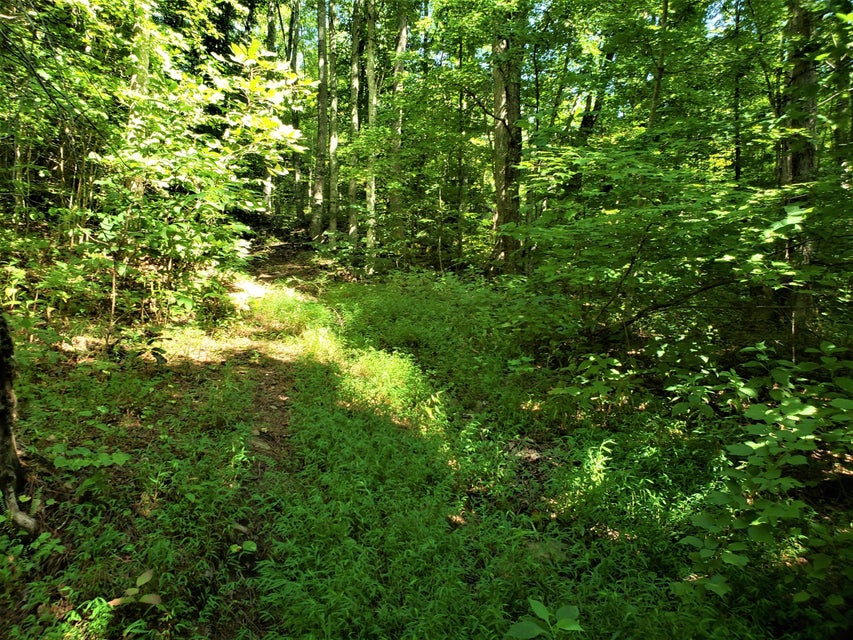 Photo #14: Tbd Seal Chapel Road