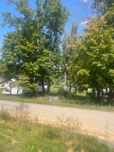 Photo #3: Tbd Wild Rose Lane