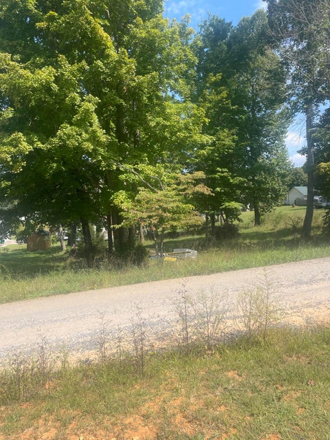 Photo #5: Tbd Wild Rose Lane