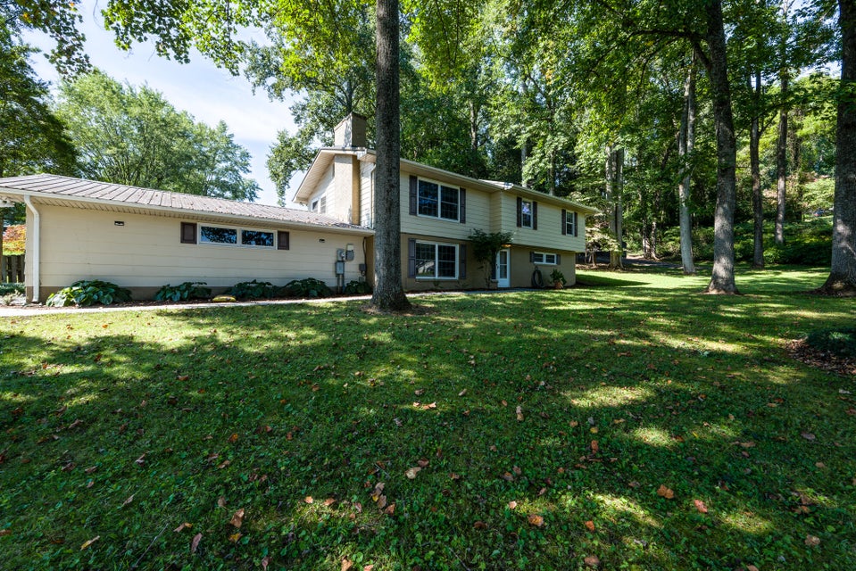 Photo #44: 113 Hermitage Drive