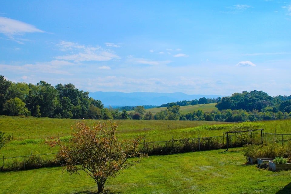 Photo #76: 170 Price Road