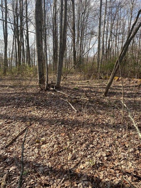 Photo #6: 4848 Thompson Road