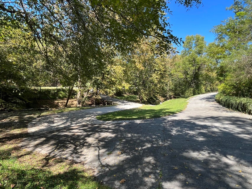 Photo #99: 3038 Shavers Ford Rd. Road