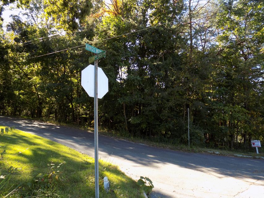 Photo #3: Tbd Kings Mountain Rd.