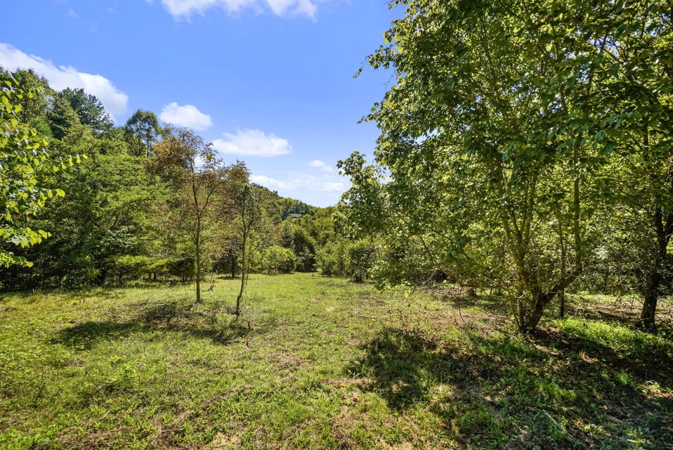 Photo #15: 840 Gap Creek Road Road