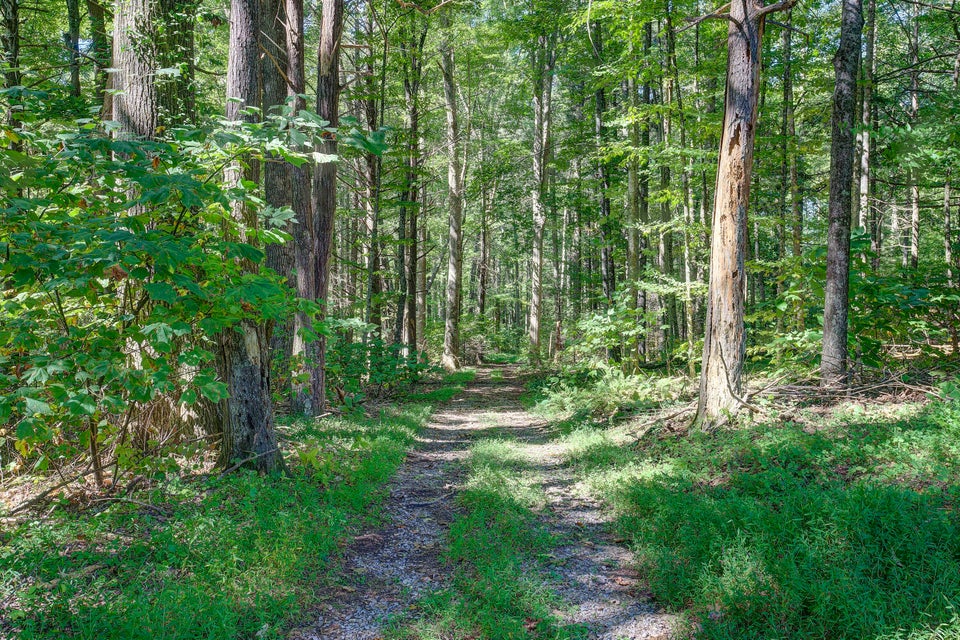 Photo #13: 128 Lum Mcintosh Road
