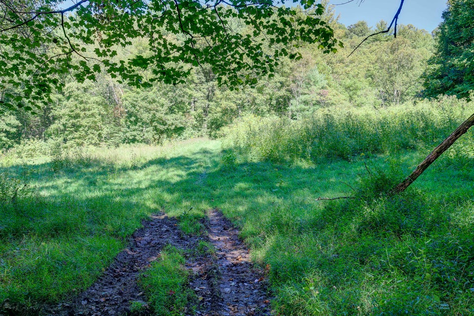 Photo #20: 128 Lum Mcintosh Road