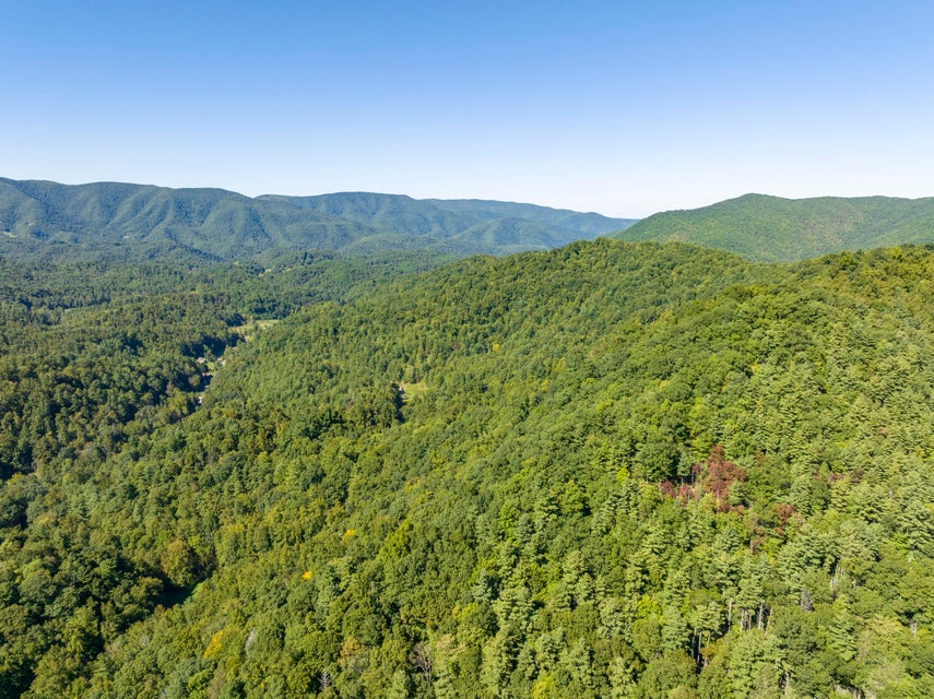 Photo #40: 128 Lum Mcintosh Road