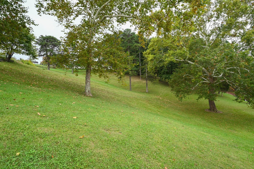 Photo #47: 568 Gravely Road