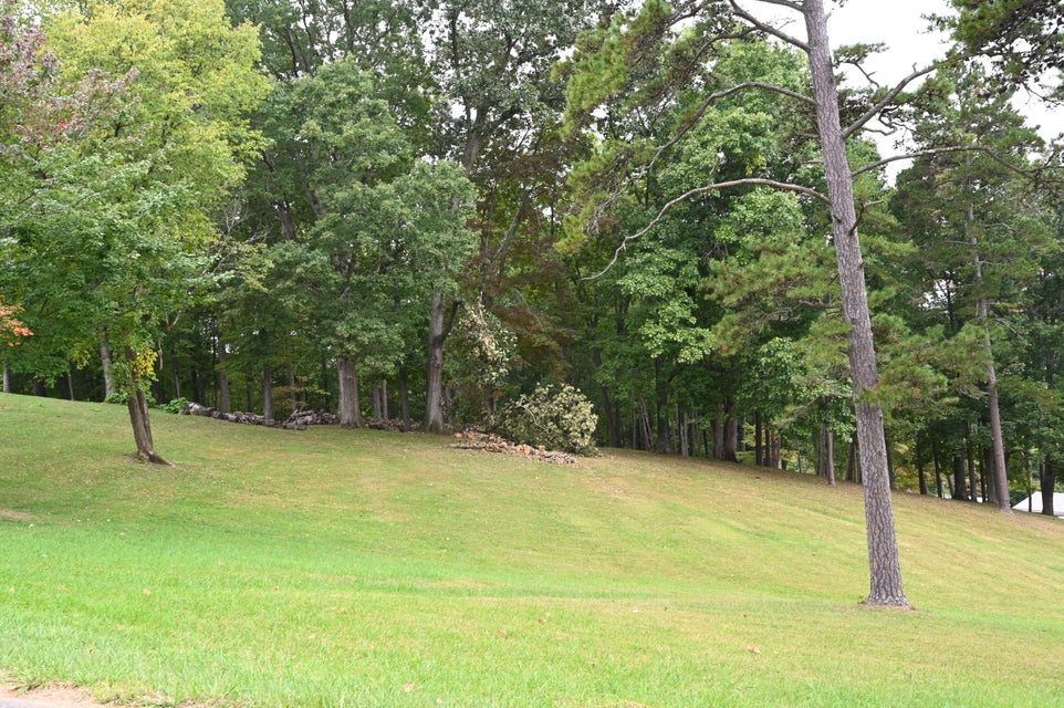 Photo #52: 568 Gravely Road
