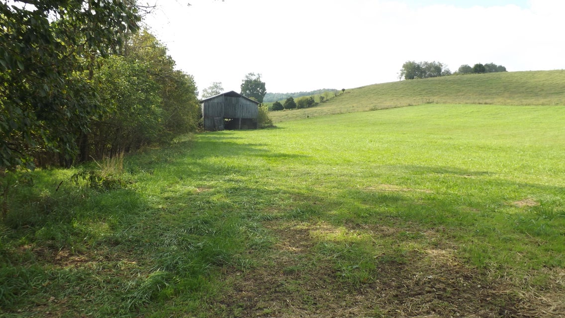 Photo #8: 147 Low Water Ln