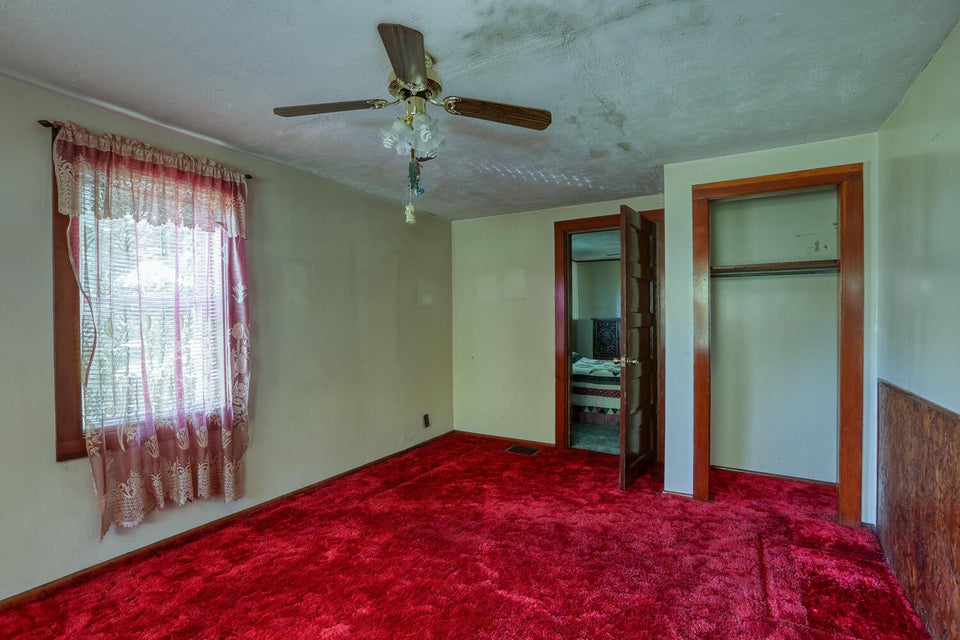 Photo #33: 109 Devault Street