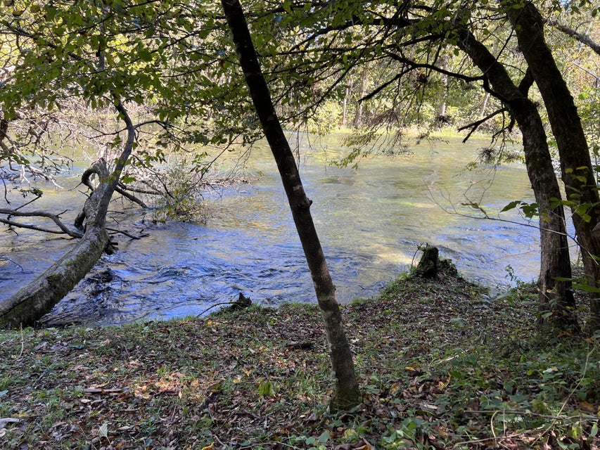 Photo #12: 997 Bullock Hollow Road