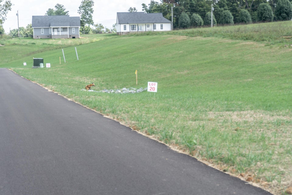 Photo #12: 0 Link Meadow Way