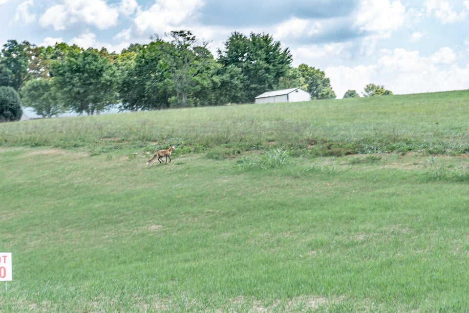 Photo #17: 0 Link Meadow Way