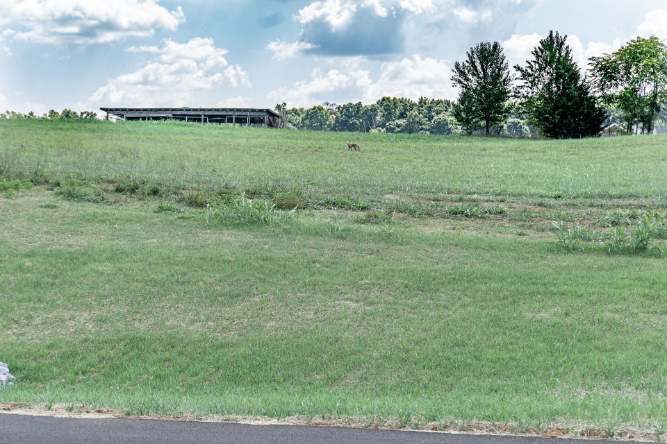 Photo #18: 0 Link Meadow Way