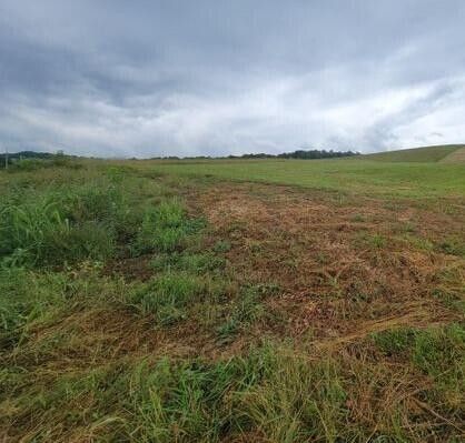 Photo #8: Tbd Ethel Beard Road