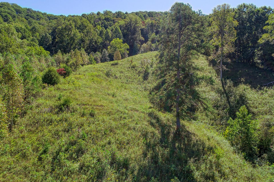 Photo #38: 3223 Goshen Valley Road