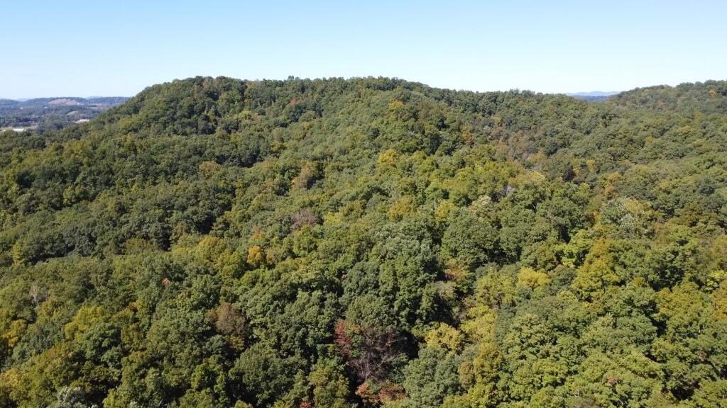 Photo #6: Tbd Ethel Beard Road