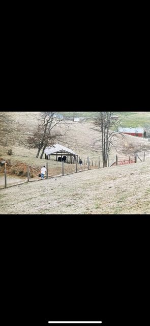 Photo #21: 714 Lewis Lane